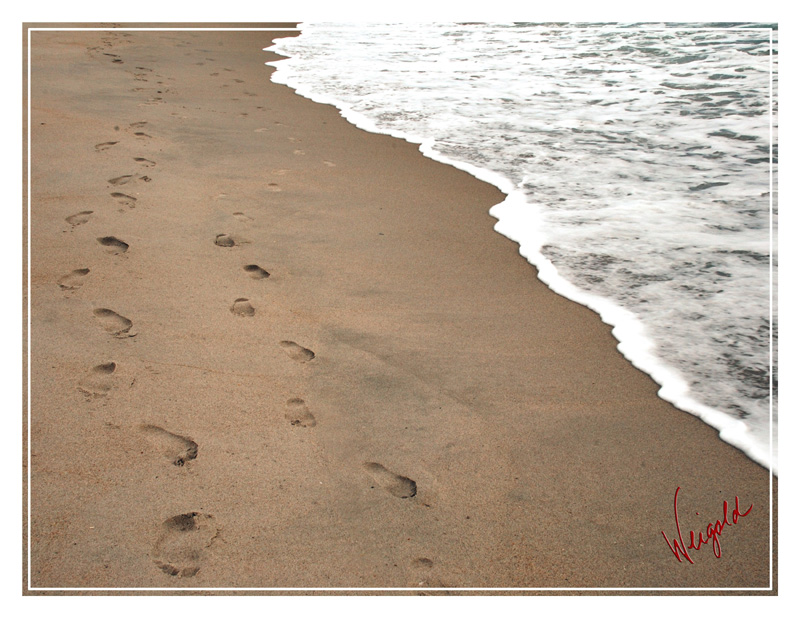 footprints-sm